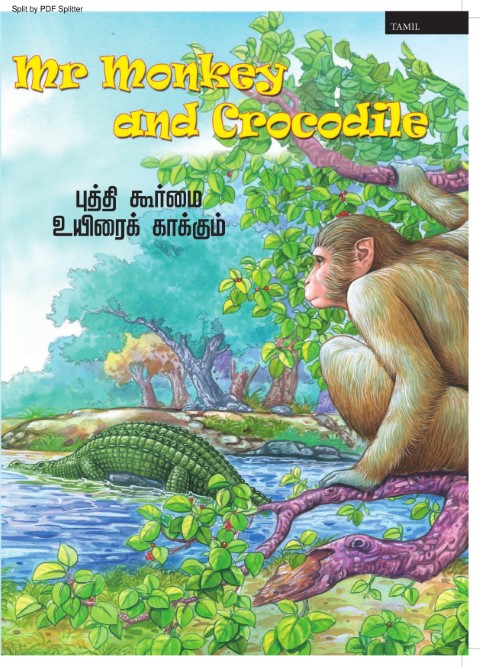 Mr. Monkey and Crocodile